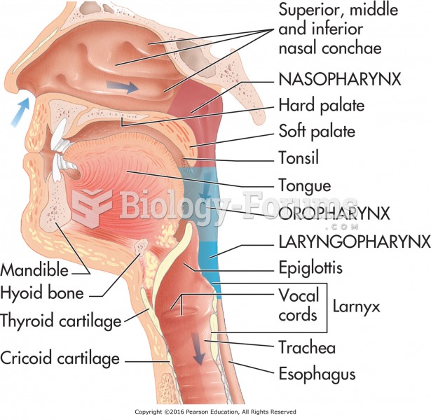 The nasopharynx, oropharynx, and laryngopharynx and related structures.