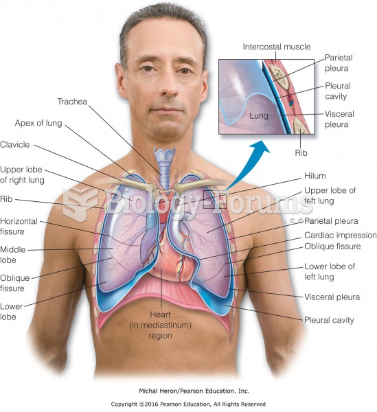 Structures of the thoracic cavity.