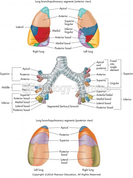 Bronchopulmonary segments.