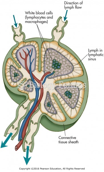 The lymph node structure.