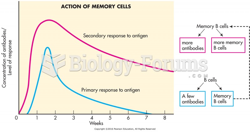 The primary response causes B cells to produce memory B cells and a few antibodies. The second ...