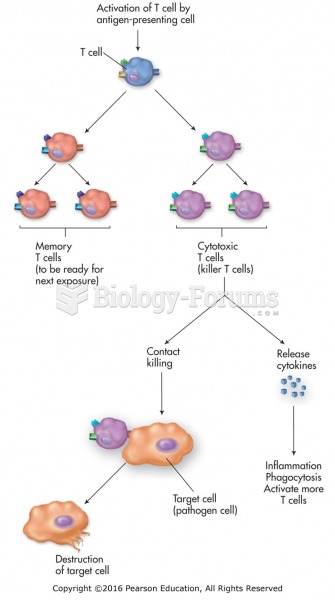 Cell-mediated immunity, primary and secondary response.