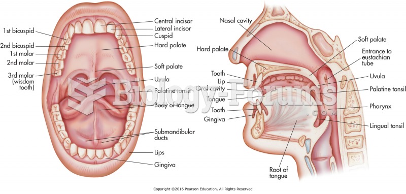 The mouth and oral cavity.