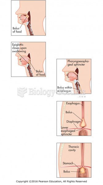 The movement of a bolus of food from the mouth to the stomach via the esophagus.