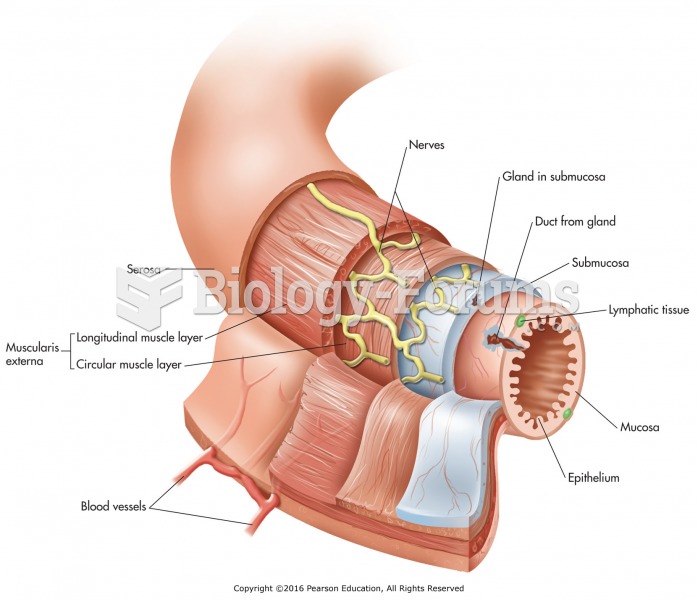 Basic tissue types and structures of the alimentary canal.