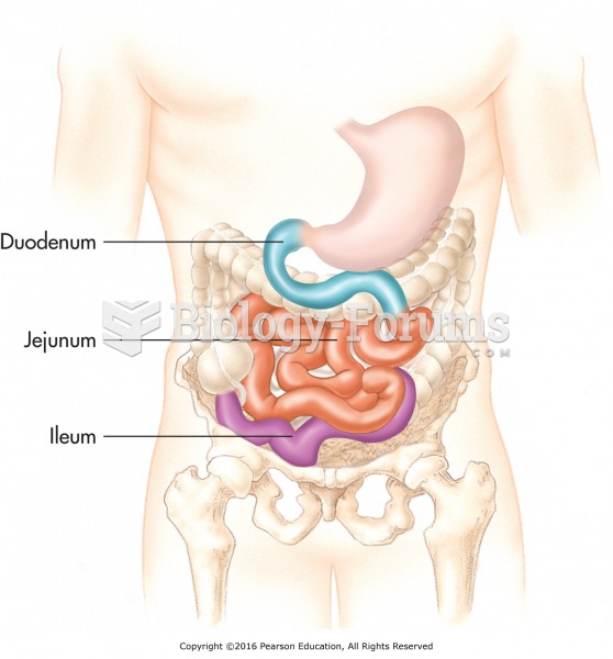 The small intestine.