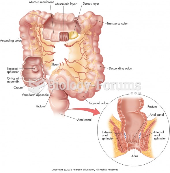 The large intestine.