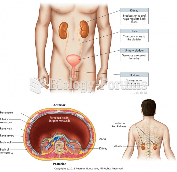 Anatomy of the urinary system.