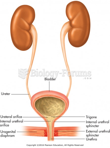 The urinary bladder.