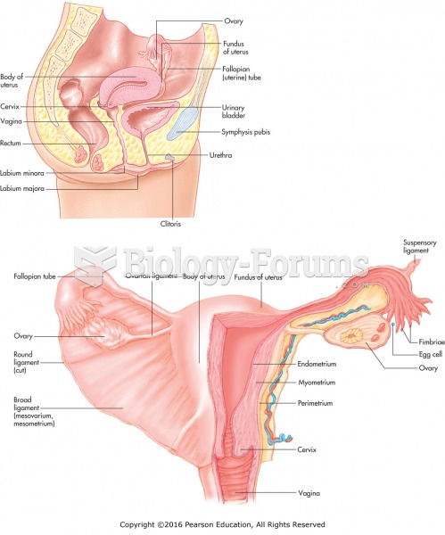 Internal female reproductive organs.