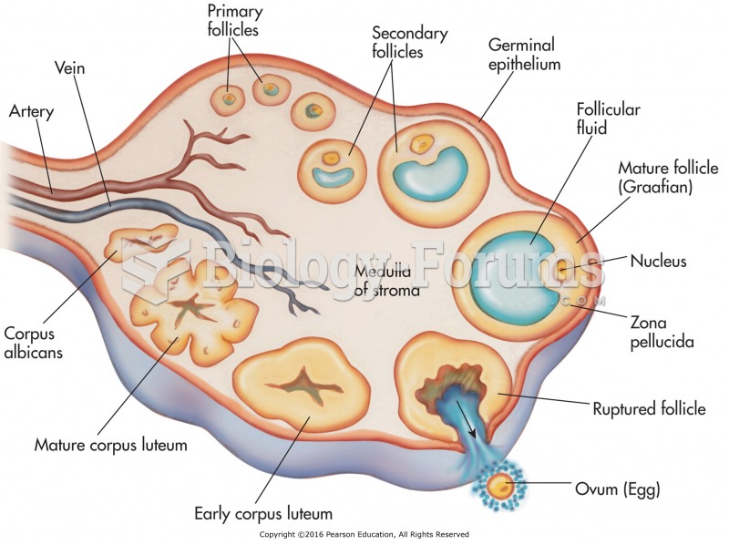 Maturation of a follicle and release of egg.