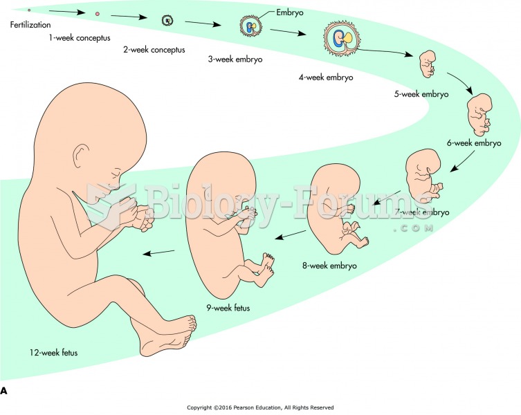(A) The stages in utero of human development. 