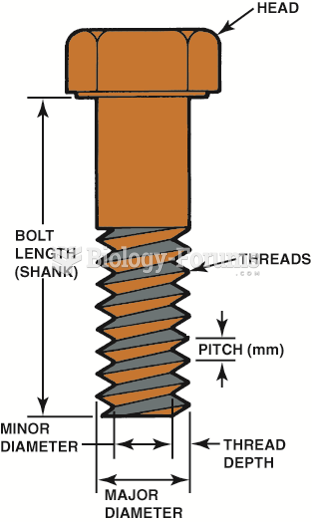 The dimensions of a typical bolt showing where sizes are measured.