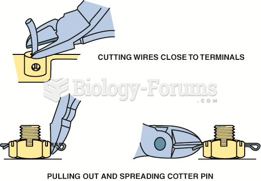 Diagonal pliers are another common tool that has many names.