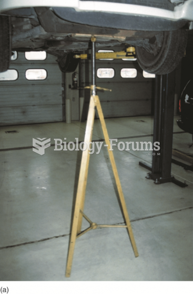 Tall safety stands can be used to  provide additional support for the vehicle while on  the hoist. 