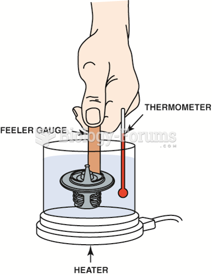 Setup used to check the opening temperature of a thermostat.