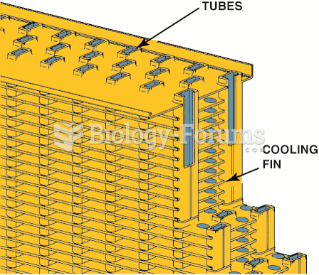 The tubes and fins of the radiator core.
