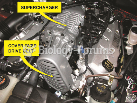 A supercharger on a Ford V-8.