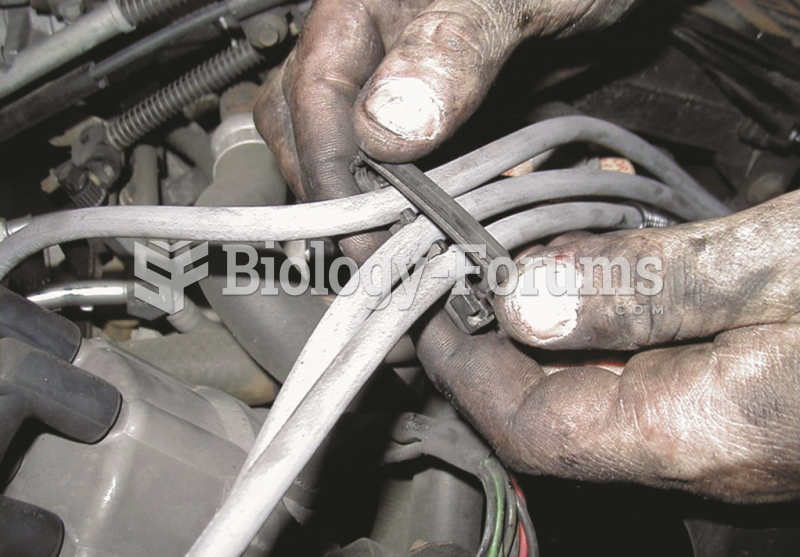 Always take the time to install spark plug wires back into the original holding  brackets (wiring ...