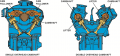 SOHC engines usually require additional components such as a rocker arm to operate all of the ...