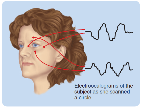 The typical placement of electrodes around the eye for electrooculography. The two electrooculogram ...