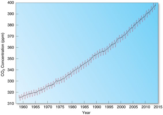 Variable Gases: Carbon Dioxide