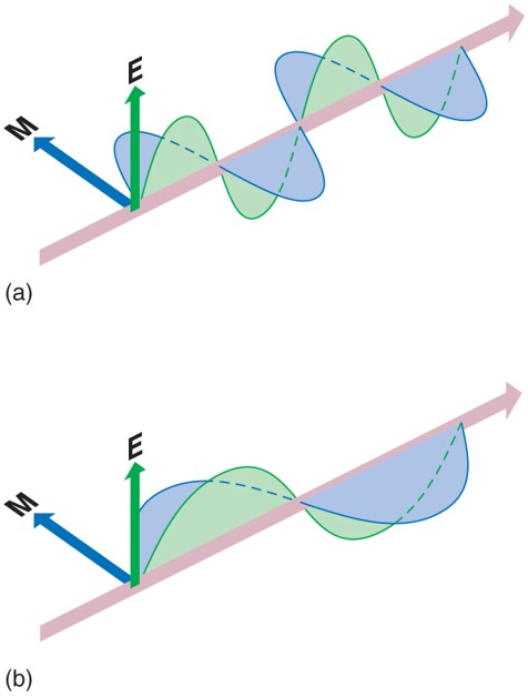 Radiation Quantity and Quality