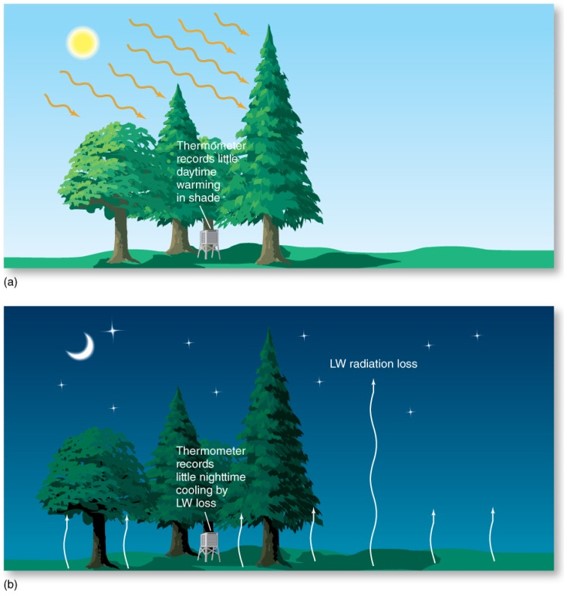 Daily and Annual Temperature Patterns