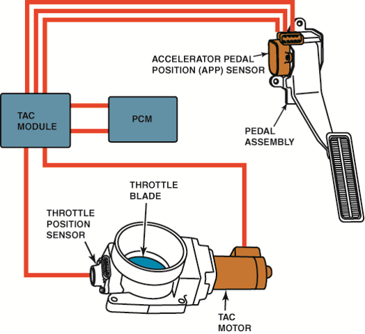 The throttle pedal is connected to the accelerator pedal position (APP) sensor. The electronic ...