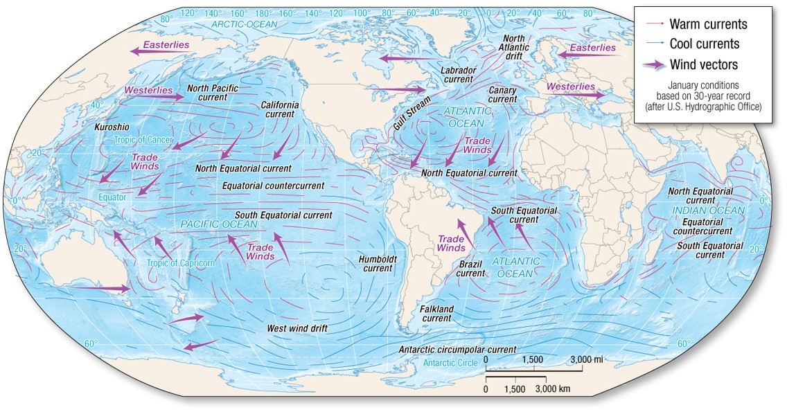 The North and South Equatorial Currents