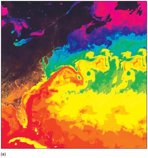 Western basin edges are dominated by warm poleward-directed currents (for example, Gulf Stream), ...