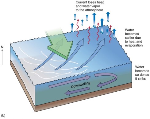 Upwelling and Downwelling