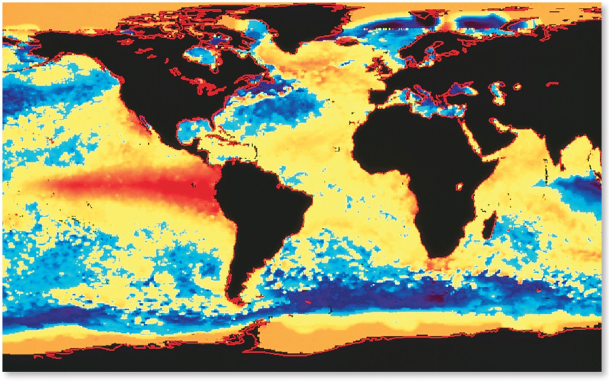 El Niño, La Niña, and the Walker Circulation