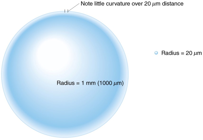 Factors Affecting Saturation and Condensation: Effect of Curvature