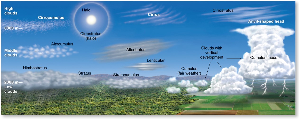 Cloud Types