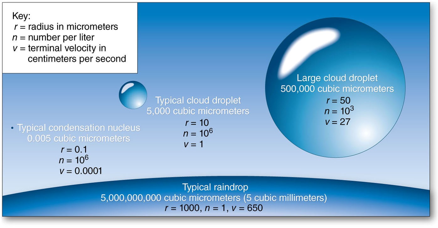 Growth of Cloud Droplets