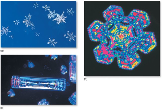 Distribution and Forms of Precipitation: Snow