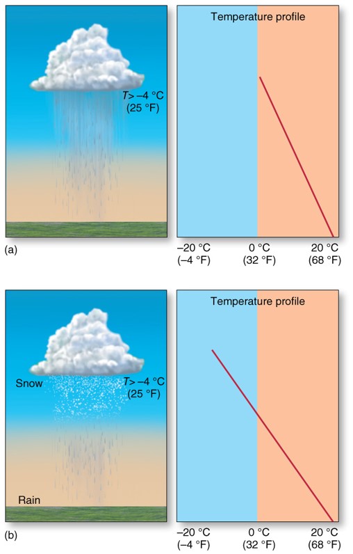 Distribution and Forms of Precipitation: Rain 