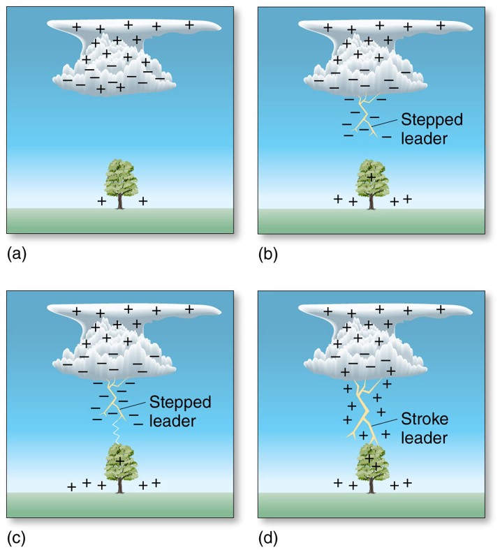 Processes of Lightning Formation: Charge Separation