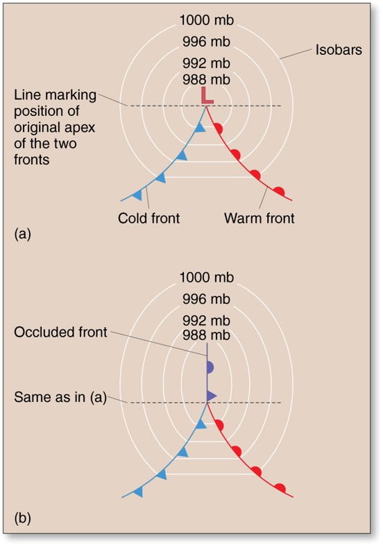 Occluded Fronts