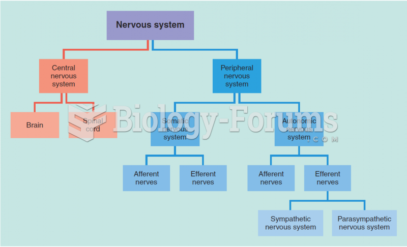 The major divisions of the nervous system.