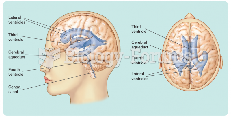 The cerebral ventricles.