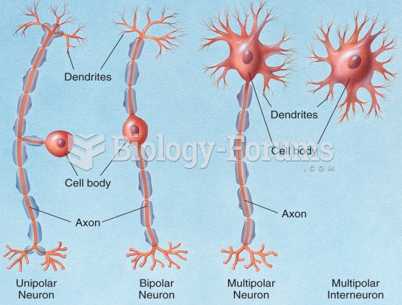 A unipolar neuron, a bipolar neuron, a multipolar neuron, and an interneuron.