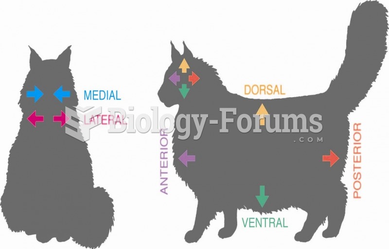 Anatomical directions in representative vertebrates, my cats Sambala and Rastaman.