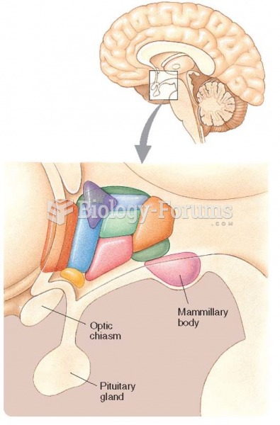 The human hypothalamus (in color) in relation to the optic chiasm and the pituitary gland.