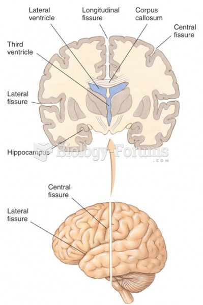 The major fissures of the human cerebral cortex.