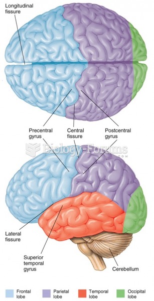 The lobes of the cerebral hemishphere.