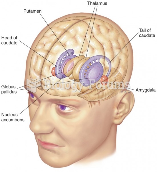 The basal ganglia: amygdala, striatum (caudate plus putamen), and globus pallidus. Notice that, in ...