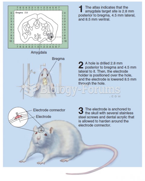 Stereotaxic surgery: implanting an electrode in the rat amygdala.