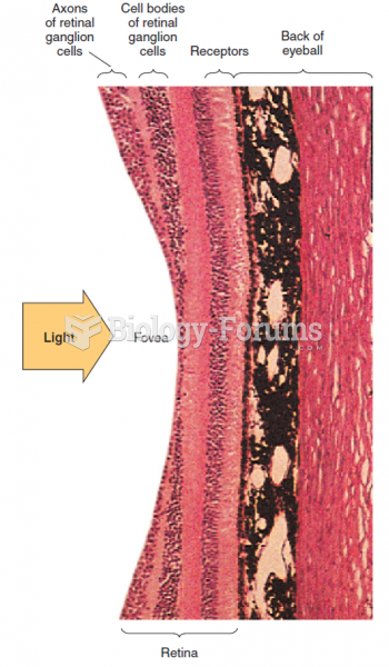 A section of the retina. The fovea is the indentation at the center of the retina; it is specialized ...